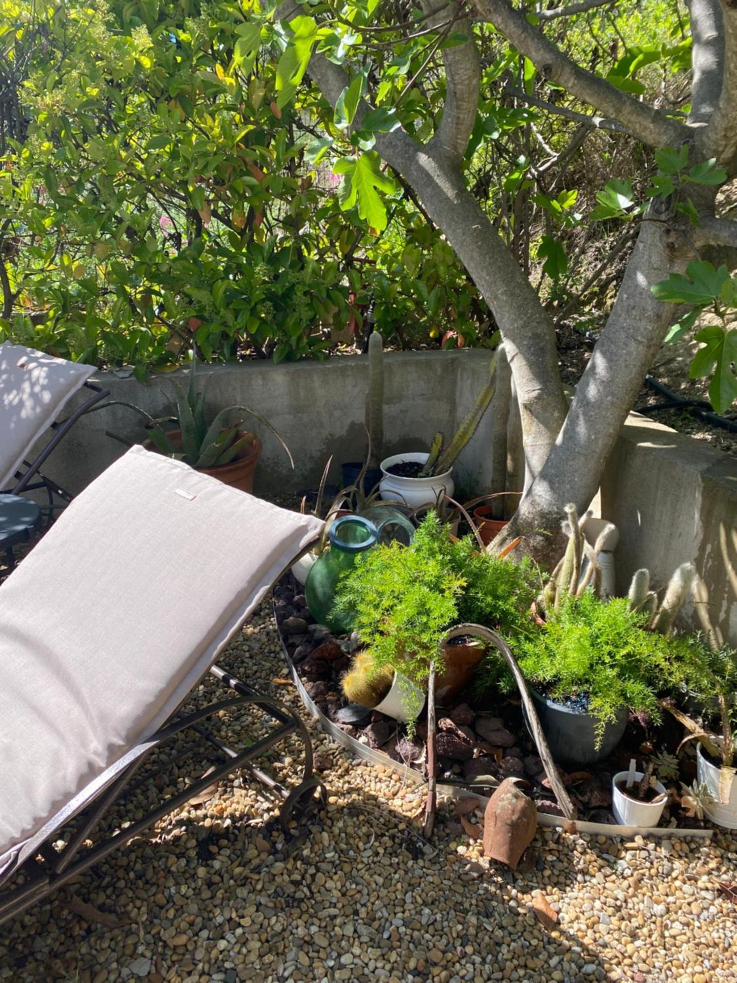 Le Clos De La Chevre Sud La Cadiere-d'Azur Exteriér fotografie